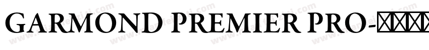 GARMOND PREMIER PRO字体转换
